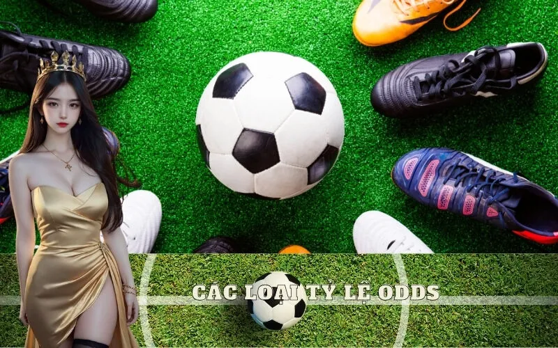 Các loại tỷ lệ Odds