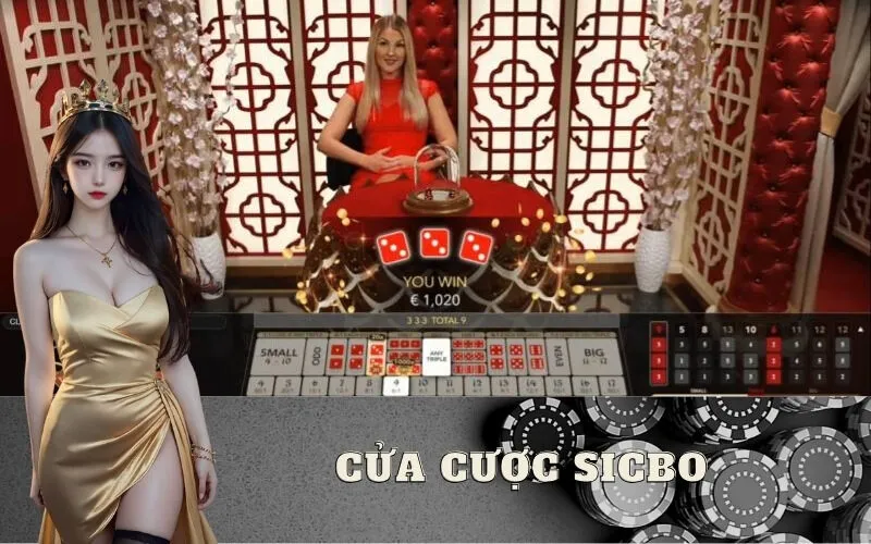 Cửa cược Sicbo